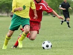 惊心时刻,奥斯卡家族,忧心忡忡,AG真人,AG真人官网,AG真人娱乐,AG真人游戏,AG真人视讯