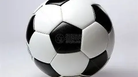 《惊心时刻！奥斯卡家族忧心忡忡，力挺爱子远离赛场危机》