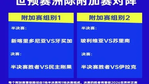 大乐透期号专家推荐：博卡青年vs瓜亚基尔巴塞罗那质合分析