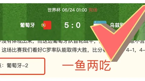 真人 054656