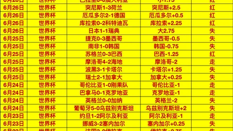 真人 055436